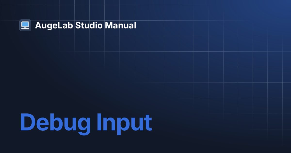 Debug Input | AugeLab Studio Manual